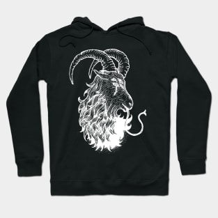 Seer Speaker Hoodie